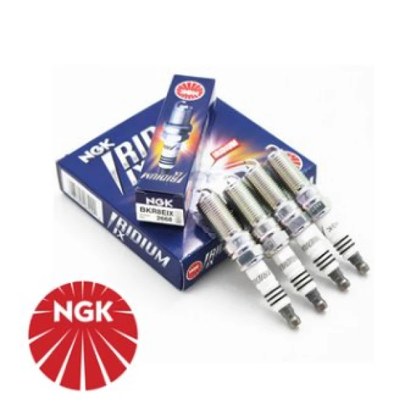 SPARK PLUGS Iridium IX